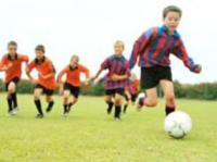 Какую спортивную секцию выбрать ребенку?